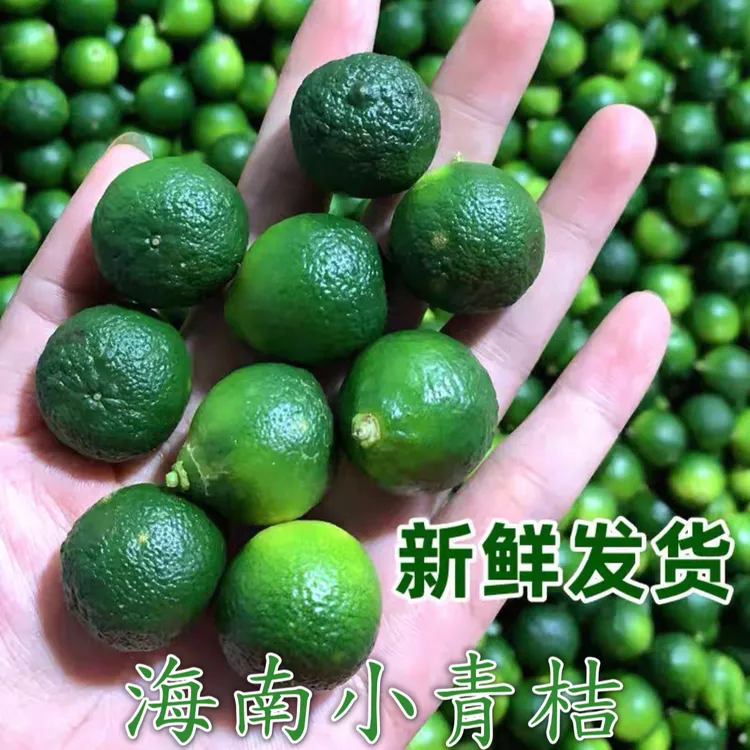 正宗海南小金桔青橘水果新鲜皮薄多汁产地直发现摘现发小青桔