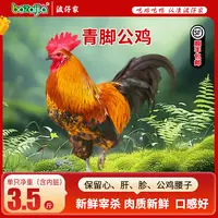 【bozaijia】波仔家青脚公鸡单只净重1.75kg*（2只） 包冰率不含冰