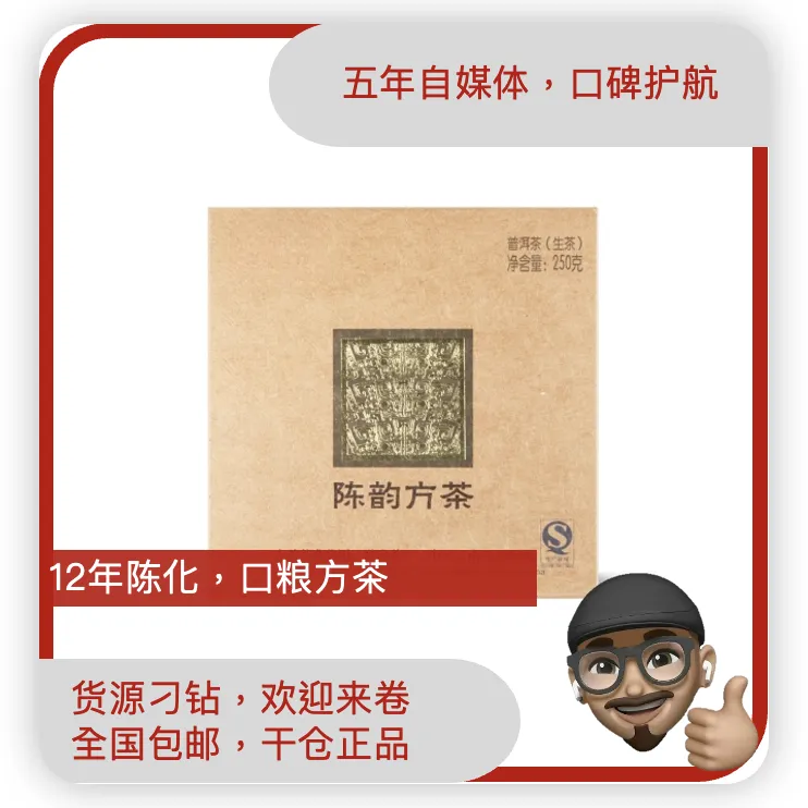 DY2013年1301陈韵方砖普洱茶（生茶）