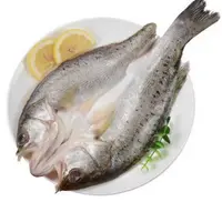 （2）深海去鳞去内脏开背七星海鲈鱼美味海鲜400g-500g/条*5条