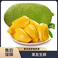 【越南进口菠萝蜜】9斤以上/1颗 黄肉整果发货仅限太原晋中吕梁拍