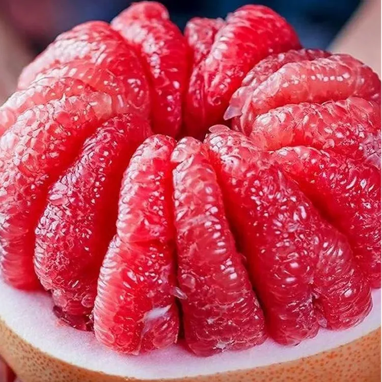 福建三红柚平和红心蜜柚新鲜应季水果皮薄多汁清甜可口柚子女子