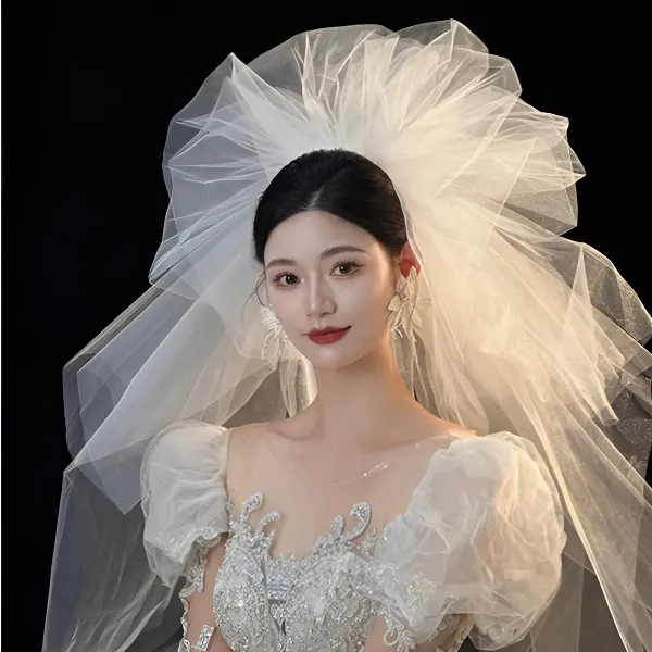 新娘主婚纱头纱六层云朵蓬蓬纱超仙长款公主抓抓纱影楼拍照道具