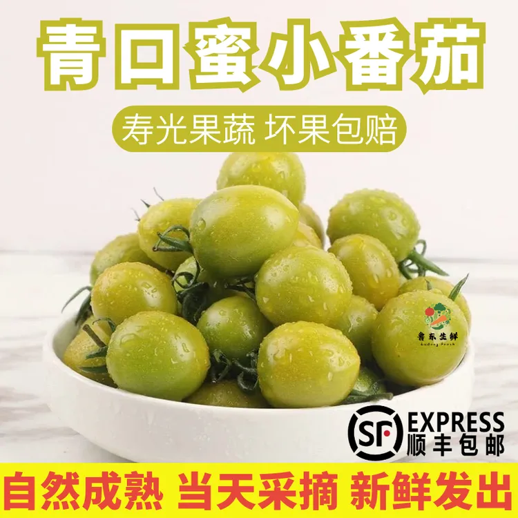 绿色樱桃小番茄青口蜜绿宝石青色圣女果迷你西红柿现摘小柿子顺丰