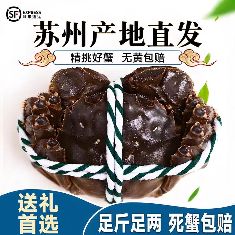 【活蟹现发】正宗苏州精品金标大闸蟹母蟹4.0两6-10只鲜活足斤足两