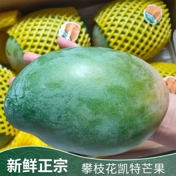 四川攀枝花凯特芒果大果新鲜水果批发整箱正宗水果产地直发直播