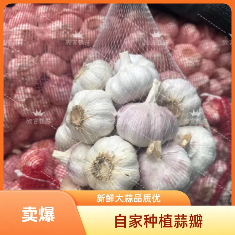 （大蒜5斤净重发货不含箱重）精品自家种植农家新干蒜紫白皮干大蒜