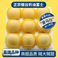 山东烟台栖霞奶油富士苹果应季新鲜水果现摘现发带箱3斤到手6-9个