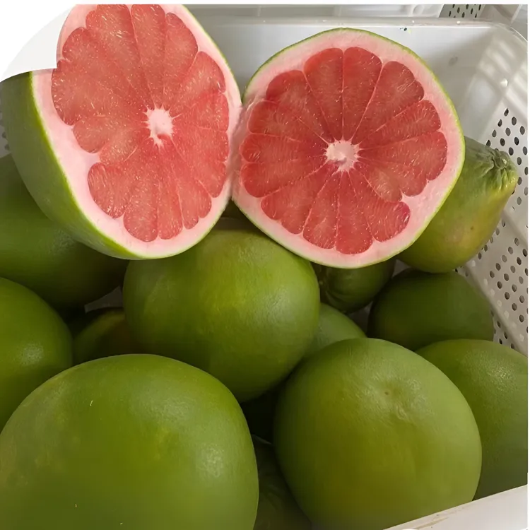 福建特产不是泰国红宝石青柚的红宝石青柚