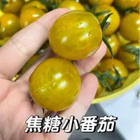 《农人老三》焦糖琥珀小番茄 新鲜水果 顺丰包邮g海南省
