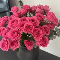 【云想】苏菲宝贝多头玫瑰