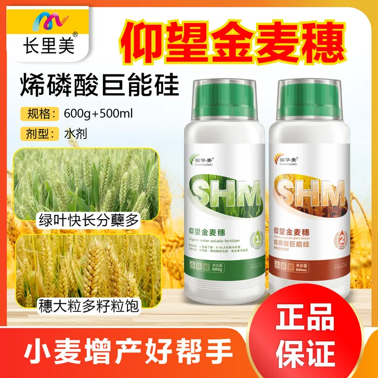 小麦促分蘖防冻抗寒黄叶干尖促生长籽粒饱满组合增产高产叶面肥