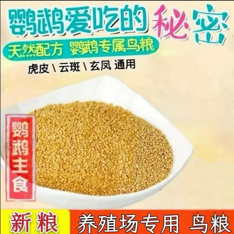 蛋小米 粮食营养丰富虎皮鹦鹉中小型专用谷子饲养用品粮食