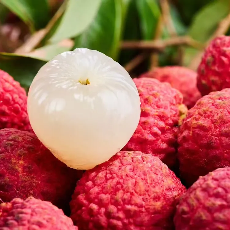 现摘仙进奉荔枝王后广东增城发货新鲜不泡水应季水果3/5斤（省内）