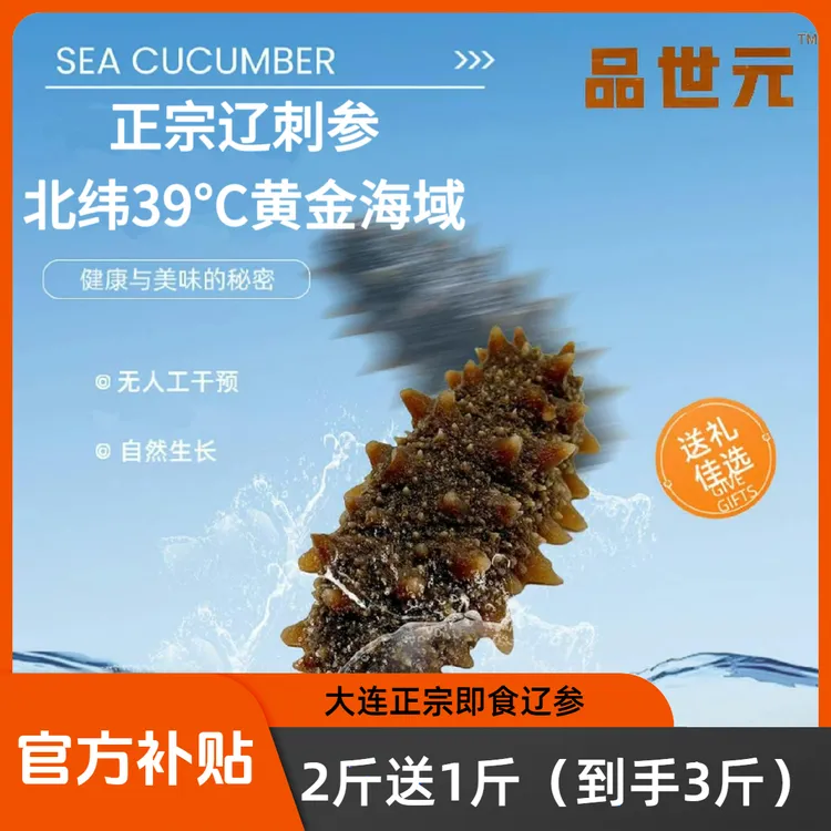 大连正宗新鲜即食海参原海大连辽参拍二发三（生鲜到手三斤）