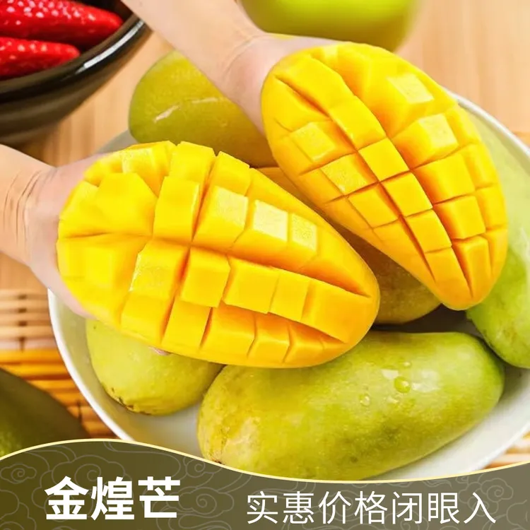 【催熟食用】海南黄皮金煌芒4.5-5斤 应季热带芒果海南海南特产爆甜