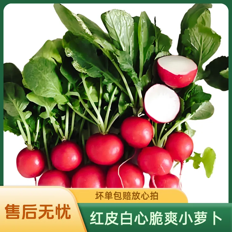 东北红丁萝卜红皮白肉脆甜多汁可生吃新鲜蔬菜饭桌必备当季蔬菜