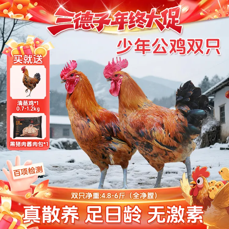 三德子【生态土鸡3只赠黑猪肉包1袋】少年公鸡散养土鸡走地鸡白切鸡商品图