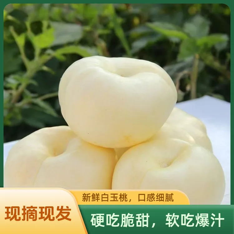 山东蒙阴奶油白蟠桃脆甜爽口软糯爆汁蜂蜜奶油白蟠桃