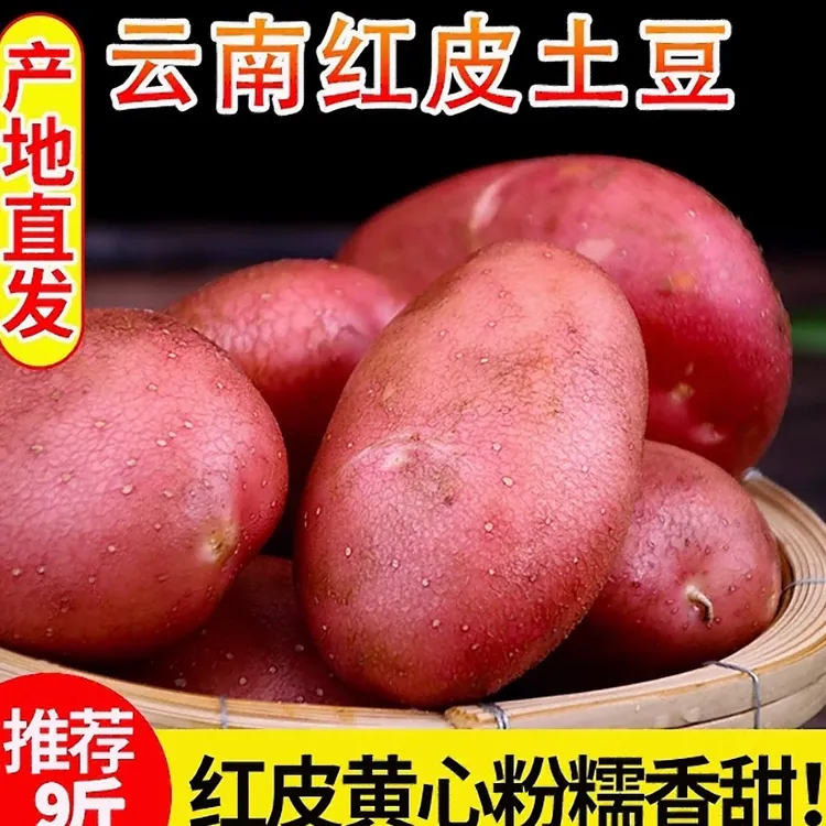 云南新挖正宗红皮土豆新鲜土豆黄心土豆沙面土豆产地直发软糯香甜