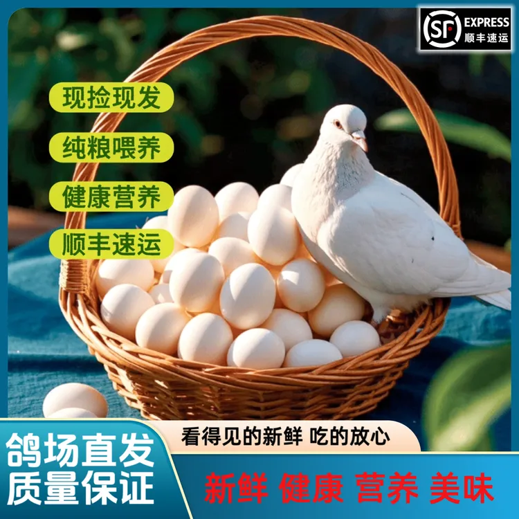 【精选】现捡鸽子蛋农家纯粮喂养营养天然丰富老人孕妇小孩安心吃