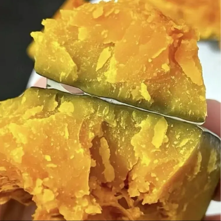 【冰糖子南瓜种子】家庭阳台小院盆栽地栽四季种植商品图