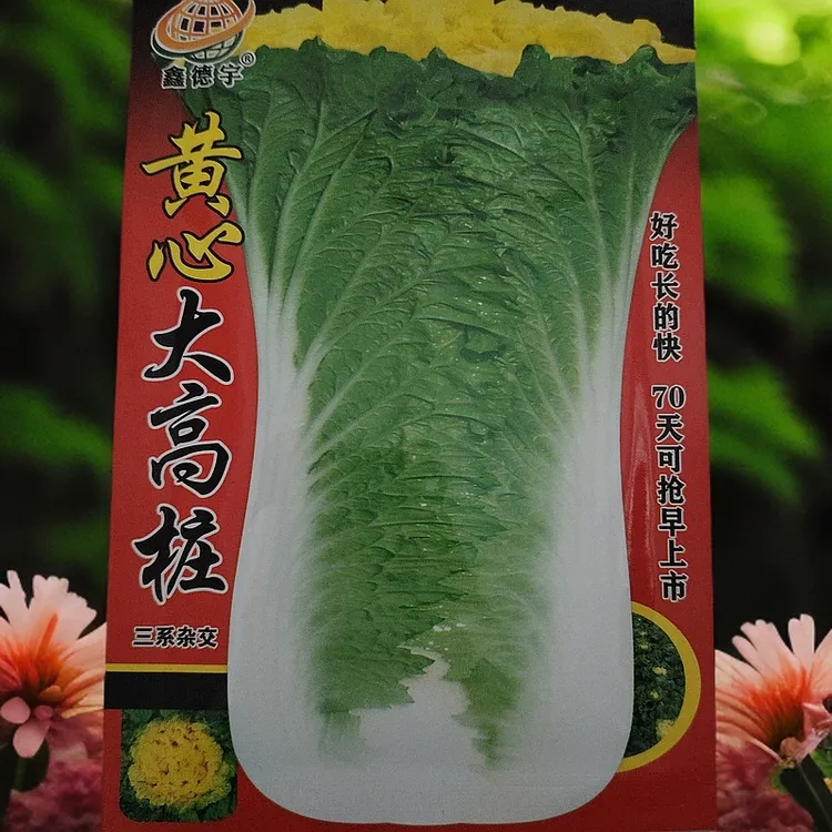 黄心大高桩白菜籽20克左右