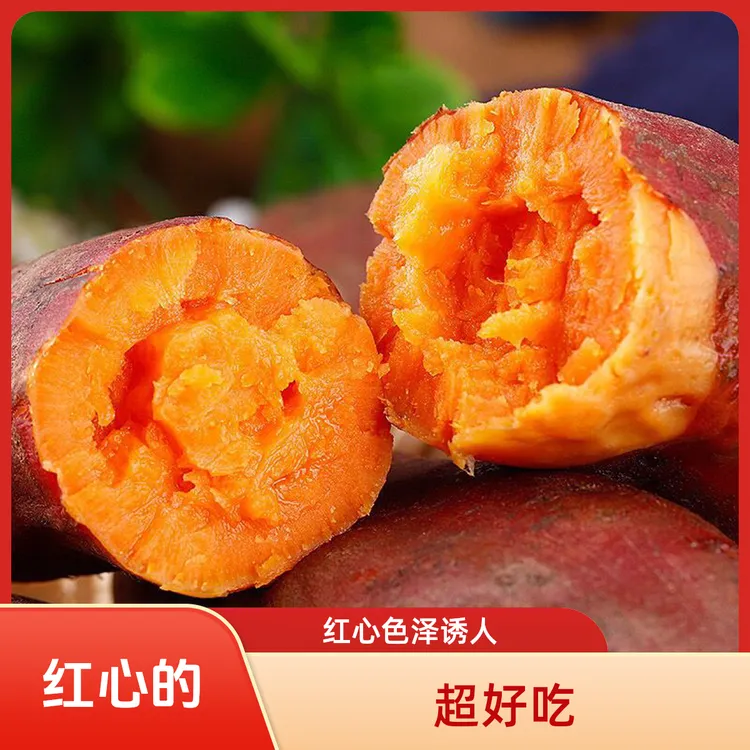 顺丰包邮5斤新鲜红心蜜薯农家自种地瓜红薯板栗红薯板栗