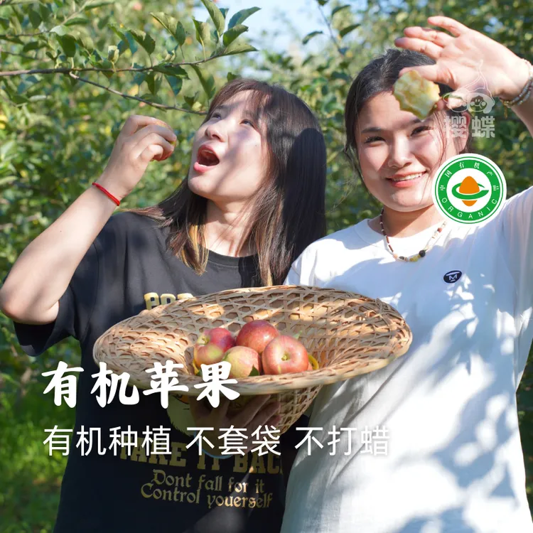 有机苹果 酸甜爽口 脆甜多汁 不套袋  宝鸡千阳 顺丰快递有机认证