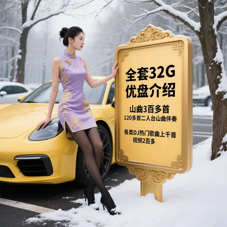 内蒙古二人台山曲车载DJ山曲二人台音乐U盘