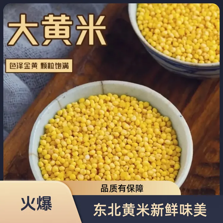 【龙翠农场】东北农家自产新鲜大黄米煮粥五谷杂粮