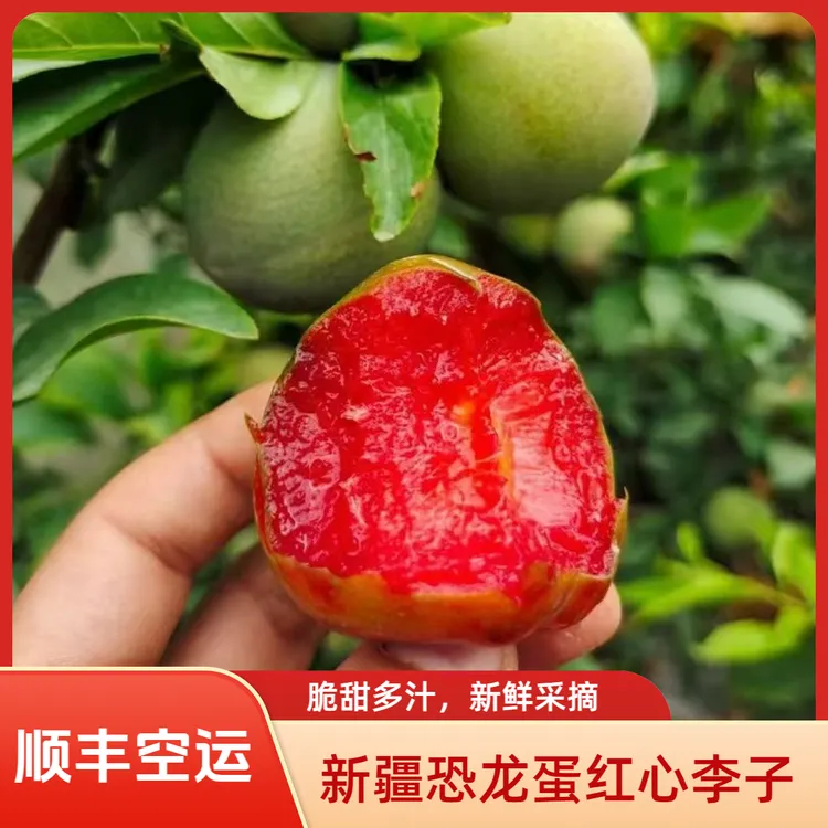 【疆十五】顺丰空运3斤特大礼盒新疆恐龙蛋红心李子新鲜脆甜多汁