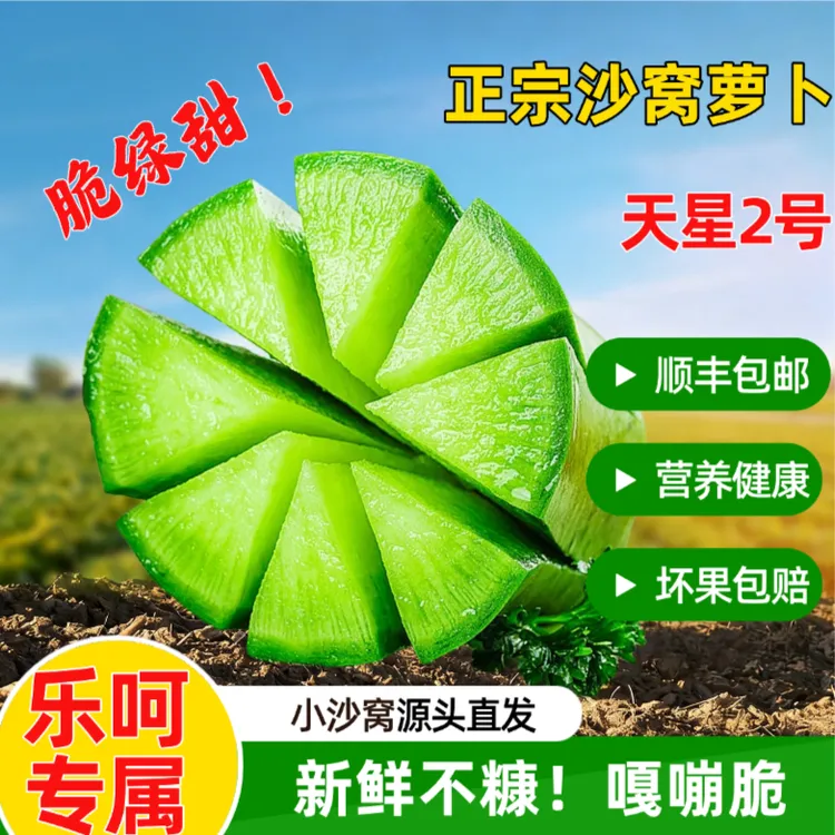 【乐呵专属】精品金星（天星2号）萝卜天津沙窝萝卜萝卜中的明珠 顺丰/京东发货B