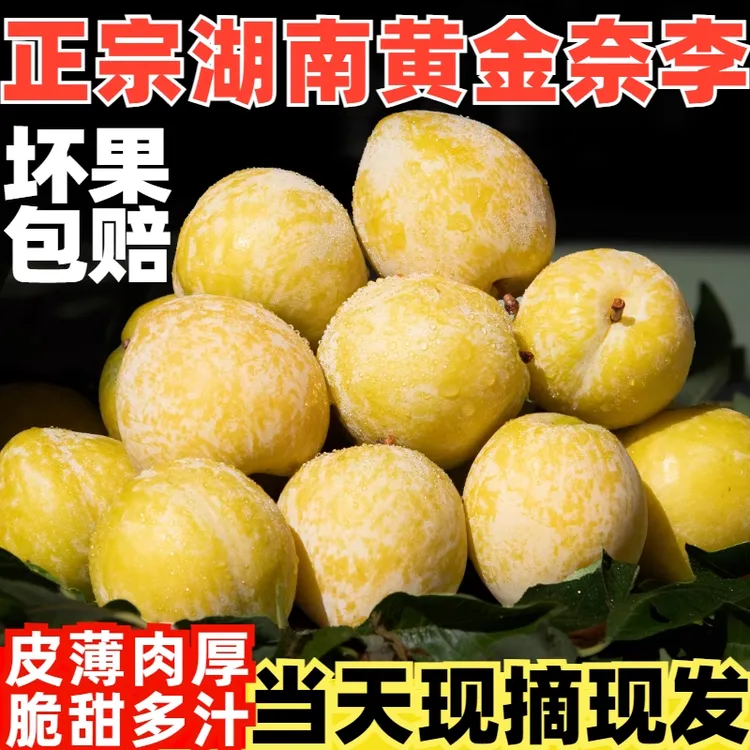 【京东快递】正宗湖南汝城文明黄金奈李脆甜多汁孕妇应季水果包邮