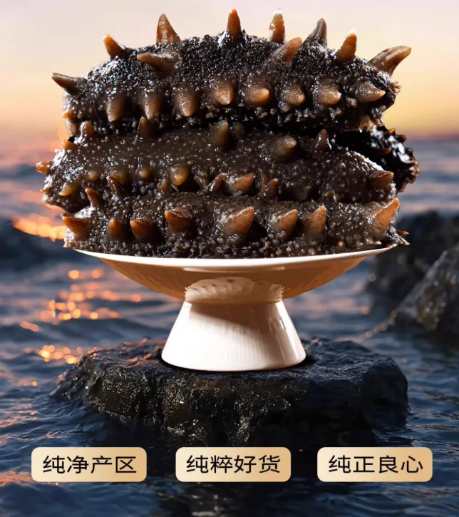 大连盐渍辽刺参（ 海参王10头左右）半干拉缸盐  包邮