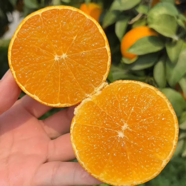 K正宗四川爱媛38号果冻橙原产地发货新鲜多汁皮薄肉厚