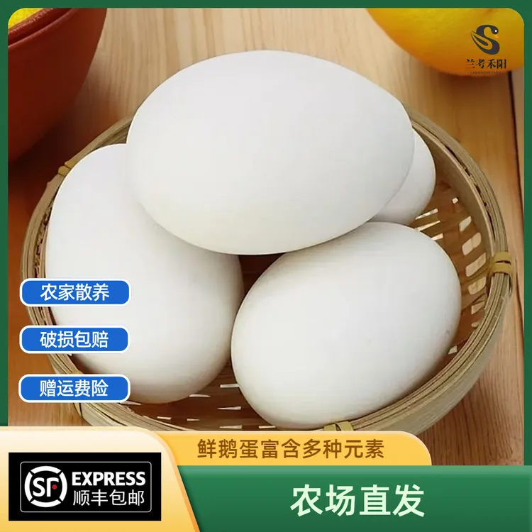 【顺丰包邮】农场直发12枚鲜鹅蛋农家散养鹅蛋养生鹅蛋一箱
