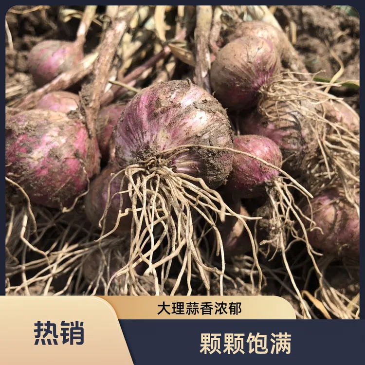 云南大理紫皮独蒜直播间福利单大小混搭