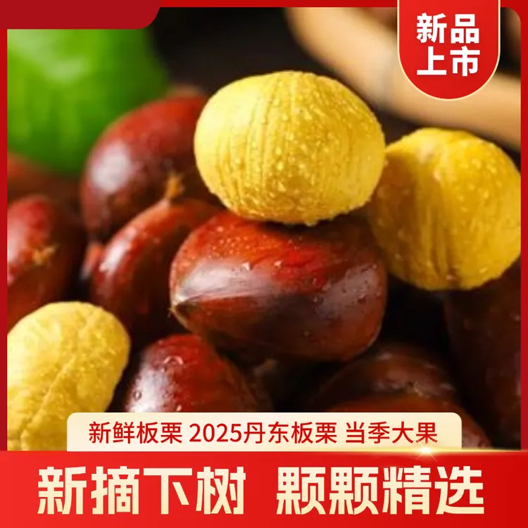 大板栗高山老树包赔新鲜栗子软糯香甜送栗子爪现摘包邮难剥皮