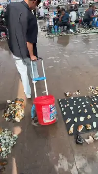 未镶嵌和田玉（糖玉）挂件和田玉