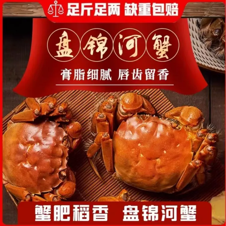 【活蟹】盘锦河蟹 母蟹1.0-1.3两/只  辽宁省拍 售后无忧 全母螃蟹