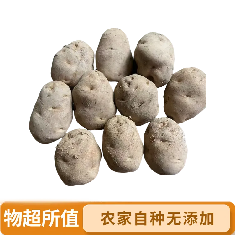 湖北恩施农家自种老品种马尔科土豆粉面香软糯有点发芽介意勿拍