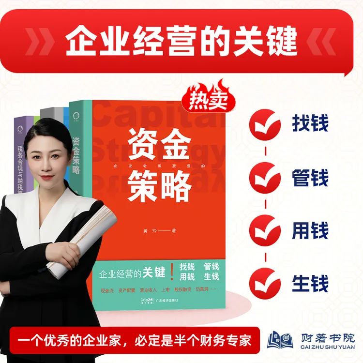 【新书】企业资金管理财税图书 资金策略 (股权融资) 财税类书籍