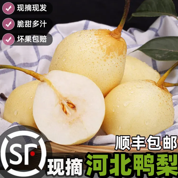 【顺丰】中秋好礼河北水晶鸭梨酥脆多汁当季新鲜水果产地直发雪梨子