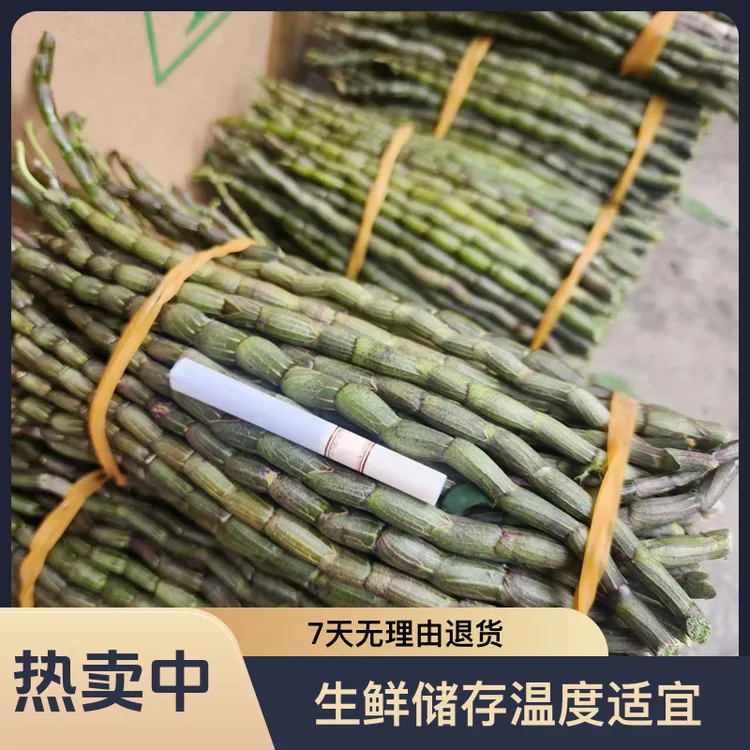 新鲜现采铁皮石斛鲜条榨汁佳品