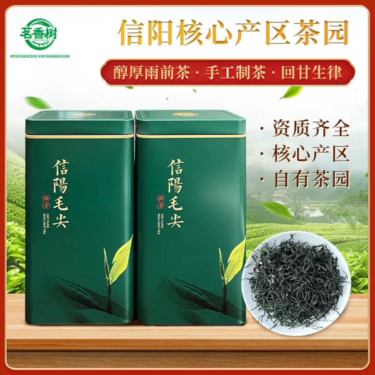 茗香树正宗信阳毛尖茶叶手工雨前茶口感回甘佳