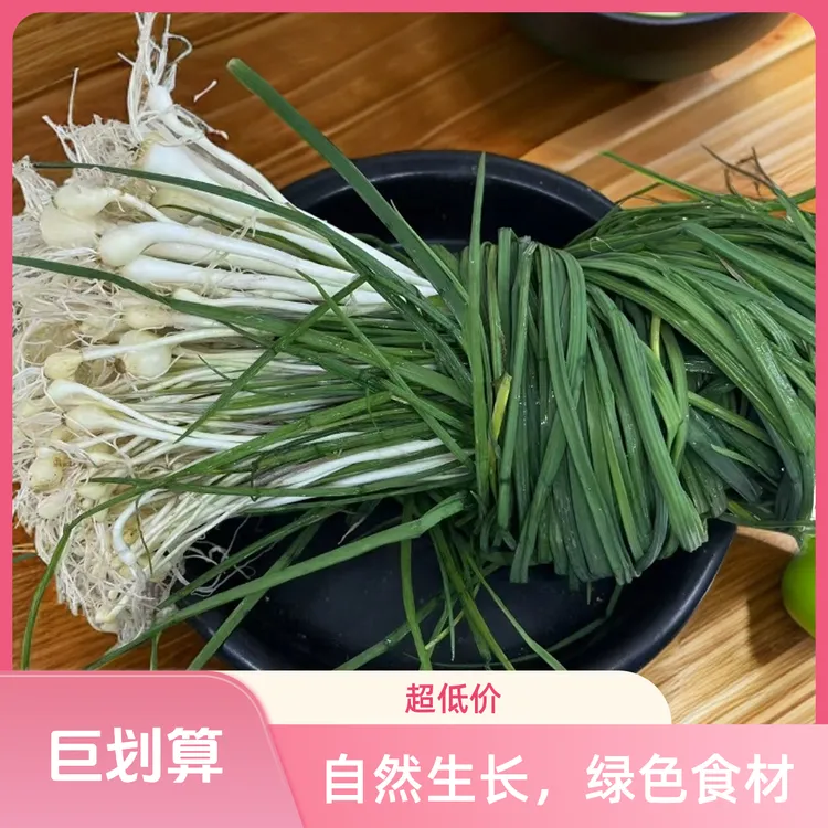 贵州新鲜现挖苦蒜 野葱小根蒜薤白野菜带泥发货新鲜野葱苦蒜苗