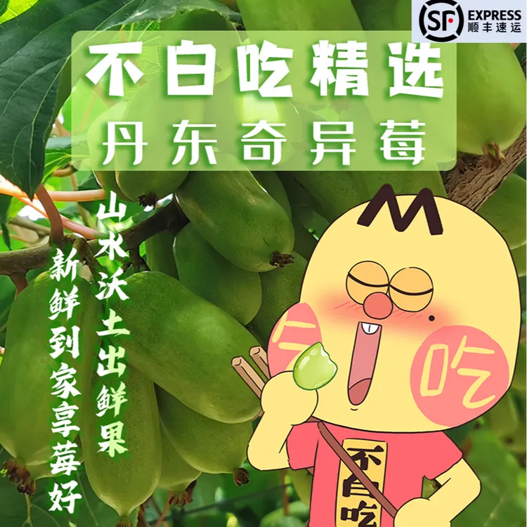 【我是不白吃】丹东特产奇异莓 软枣猕猴桃新鲜礼盒1斤/2斤/3斤DR