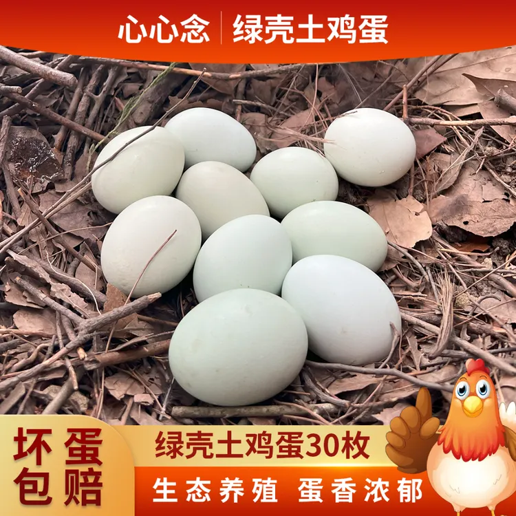 心心念正宗农家散养绿壳蛋现捡现发五谷饲养