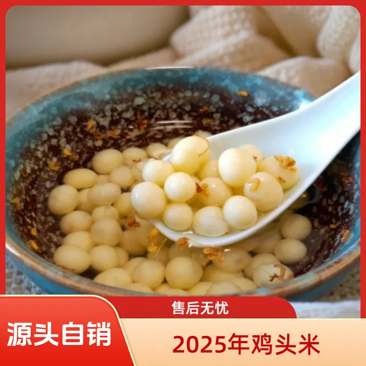 【中颗粒】 2025年当季采摘 新鲜鸡头米 正宗苏芡 江浙沪顺丰包邮